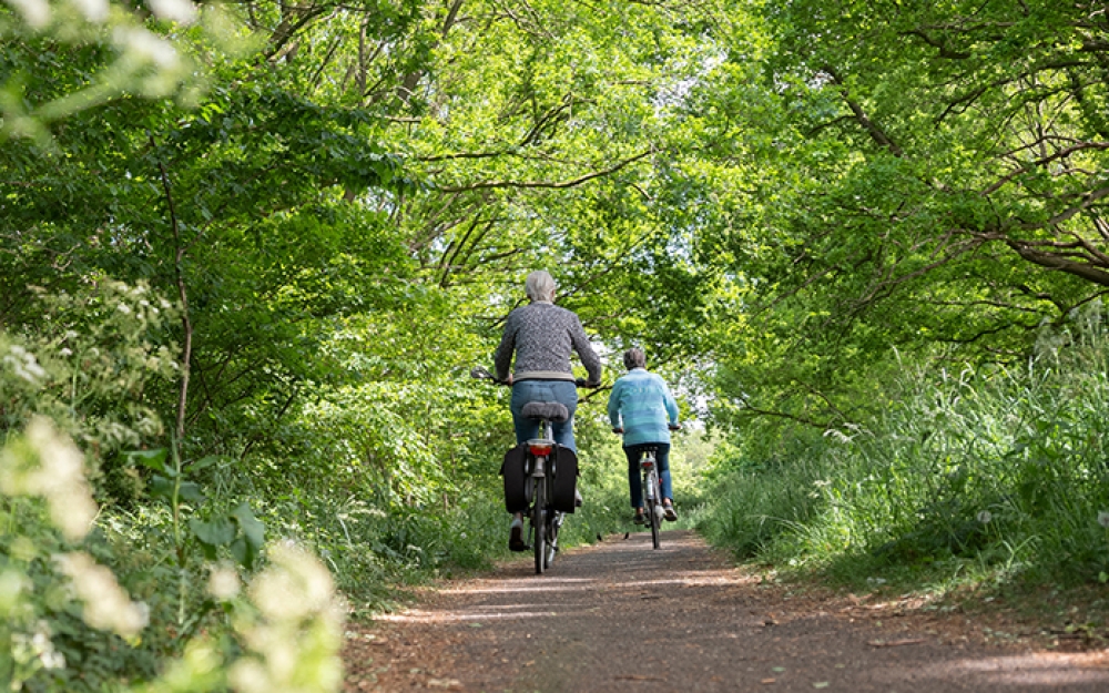 Wattenblick - Fahrradwege 